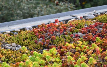 the cost of Newmains green roof installation