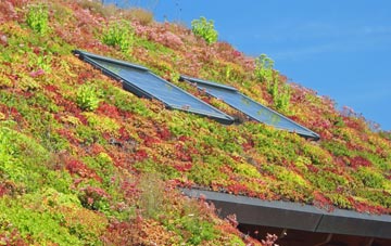 Newmains living roof systems