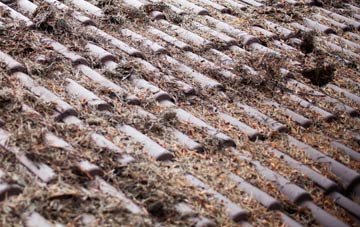 Newmains roof cleaning companies